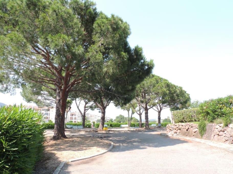 Ginkgo Studio - Piscine, Proche De La Mer, Golf, Wifi Mandelieu Extérieur photo